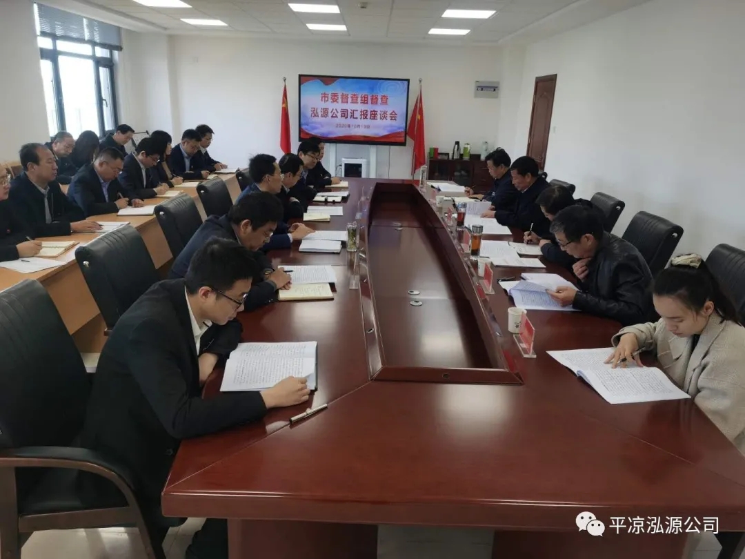 市委辦公室、市政府國資委督查泓源公司工作(圖4)